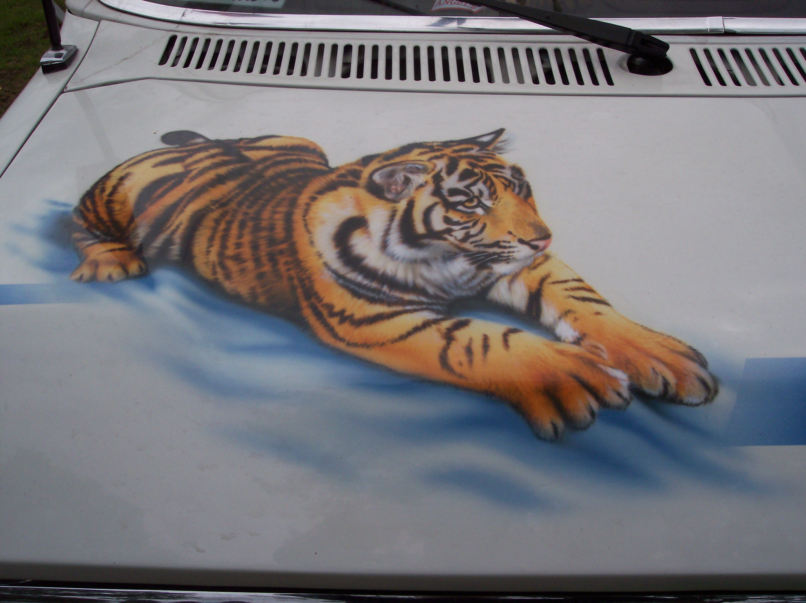 Tiger Mania's Stunning Paintwork